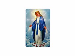 Our Lady of Lourdes 3D Magnet