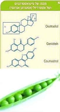 הסויה &ndash; היבטים טיפוליים