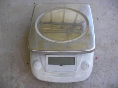 משקל   beetle  weighing  scale