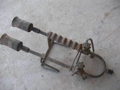 חמור  גז