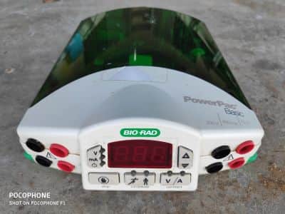 אלקטרופורזה  bio-rad  basic