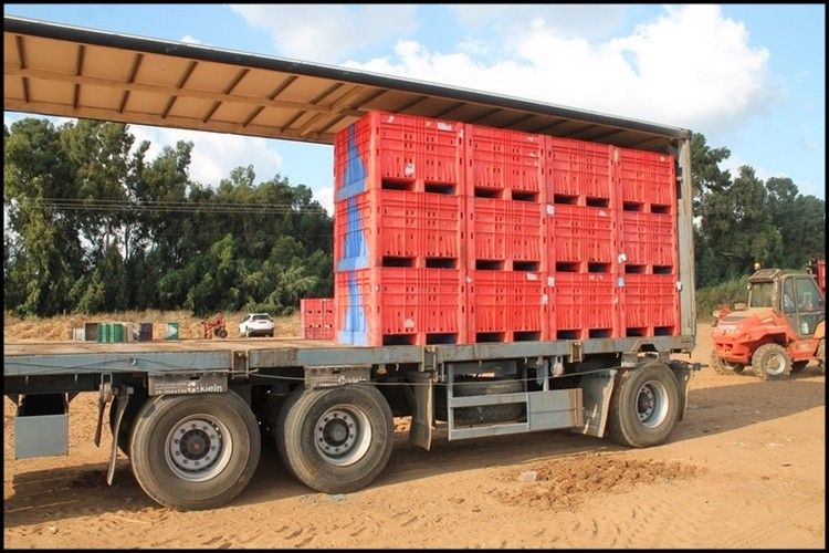 היתרונות של שימוש בדולבים( מכלי פלסטיק) בחקלאות