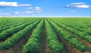 הכנת השטחים לפני החורףכללי:כ