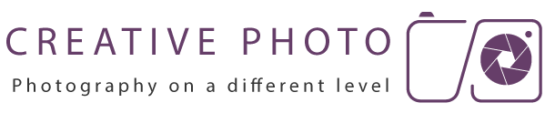 Website logo