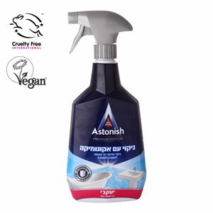 אסטוניש אקונומיקה