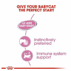 מזון רטוב מוס רויאל קנין לגורים בייביקט Babycat 195 גרם