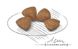 רויאל קנין כלב XS פאפי 3 ק"ג