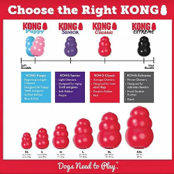 KONG classic- גודל M