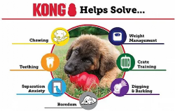KONG Extreme- L