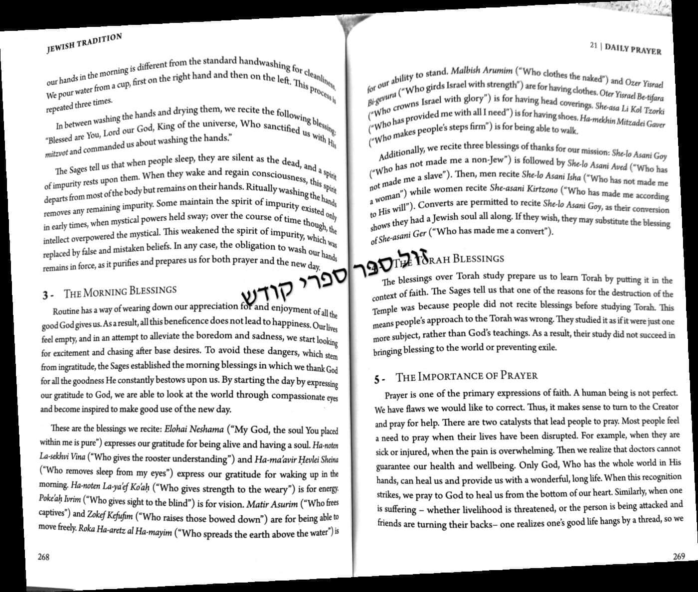 Jewish Tradition |  Rabbi Eliezer Melamed