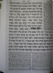 חומש בודד | למען שמו באהבה