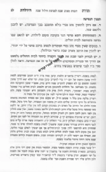 תורת היולדת - הרב יצחק זילברשטיין | ד"ר משה רוטשילד