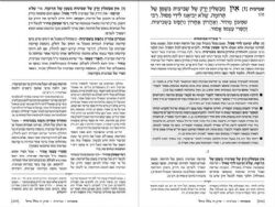 משניות ארטסקרול מהדורת רייזמן מועד חלק א'