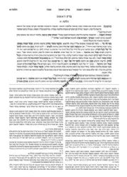 תלמוד שוטנשטיין ירושלמי תענית (כ"ה) - גדול