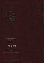 מאיר פנים - מועדים חנוכה * פורים | הרב מאיר גולדויכט