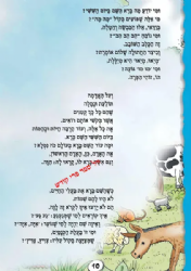 הפרשה מספרת לי 5 כרכים - מהדורה בניילון | מ. קליין