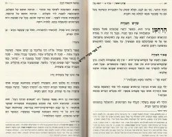 תומר דבורה בשפה ברורה | מכון סימנים