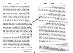 ימי הפורים - ליקוטים מתורת רבותינו ובפרט מהגר"א ובית מדרשו | רבי דוד כהן