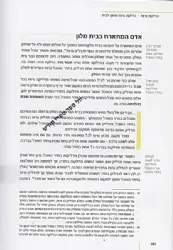 הלכות שבת הלכה ממקורה 2 כרכים ג-ד | הרב יוסף צבי רימון