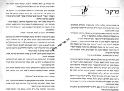 גיבורת הסיפור - סיפור אמיתי | מרים כהן