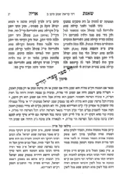 שו"ת שאגת אריה עם ליקוט מלואי קול אריה ומפתחות מפורטים | דזימיטרובסקי
