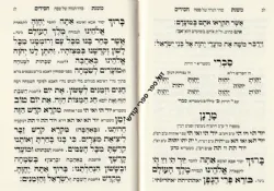 הגדה של פסח - משנת חסידים כוונות האר"י | רבי רפאל עמנואל חי ריקי