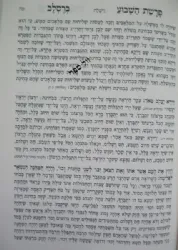 פרשת השבוע ברסלב | רבנו נחמן על התורה