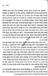 שולחן השבת עם רבי נחמן- שיחות ורעיונות לפרשת השבוע ומועדי ישראל | משה רט ואליהו טייב
