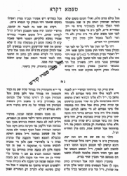 ספר טעמא דקרא - חידושים וביאורים על התורה ועל הנביאים וכתובים | רבי חיים קניבסקי