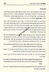 מאיר פנים - מועדים ימי אלול * חגי תשרי | הרב מאיר גולדויכט