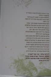 רק לומר שלום | חוה רוזנברג