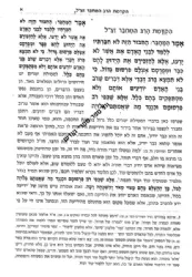 מסילת ישרים עם ביאור חובת האדם | המשגיח רבי דן סגל
