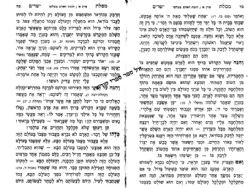 מסילת ישרים מנוקד | אורות חיים