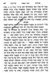 ארחות צדיקים מנוקד | אורות חיים