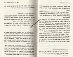 מעיין גנים - טהרת המשפחה | הרב ראובן ששון