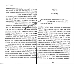 פנטזיהדות - מבוא ליהדות פנטסטית | משה רט