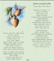 סדר ט"ו בשבט - בתוספת שירי ארץ ישראל
