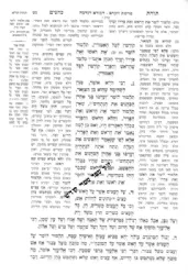 תורת כהנים עם ביאור החפץ חיים - 2 כרכים | עוז והדר
