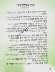 עונג שבת - פרשת השבוע לגיל הרך - בראשית | צ. רוזנברג