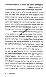 שערי חיים - בעקבי תורתו של הבן איש חי | חזי כהן