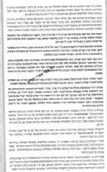 בין הדעה לדבור - תולדות רבי זלמן סורוצקין זצ"ל
