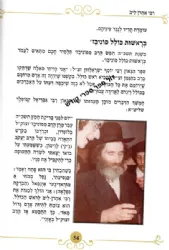 רבי אהרן לייב שטיינמן - עובדות פנינים והנהגות