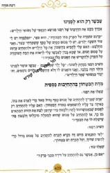 רבי אהרן לייב שטיינמן - עובדות פנינים והנהגות