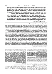 מדרש רבה המבואר - ויקרא א' (ויקרא - מצורע) | מהדורת רייזמן - ארטסקרול