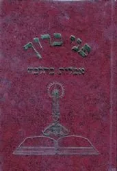 פני ברוך אבילות בהלכה | חיים בנימין גולדברג
