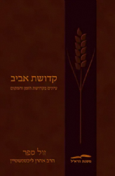 קדושת אביב | הרב אהרון ליכטנשטיין