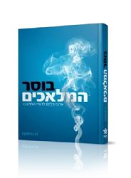 בוסר המלאכים - ארגז כלים להורי המתבגר | דן טיומקין