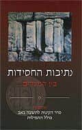 נתיבות החסידות - בין המצרים | רן שריד