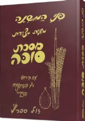 פני המשנה - מסכת סוכה משניות מצוירות | יוני גרשטיין