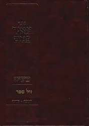 מאיר פנים - מועדים חנוכה * פורים | הרב מאיר גולדויכט